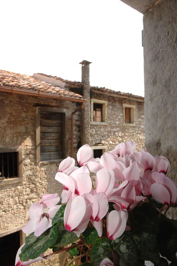 Albergo Diffuso Valcellina E Val Vajont In Erto Экстерьер фото